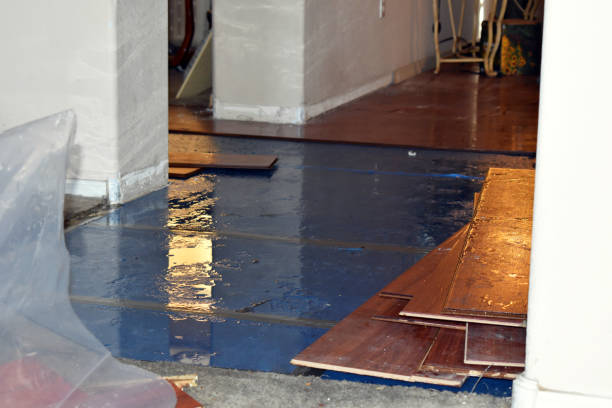 Professional Flood Cleanup technician working in Moreland, ID